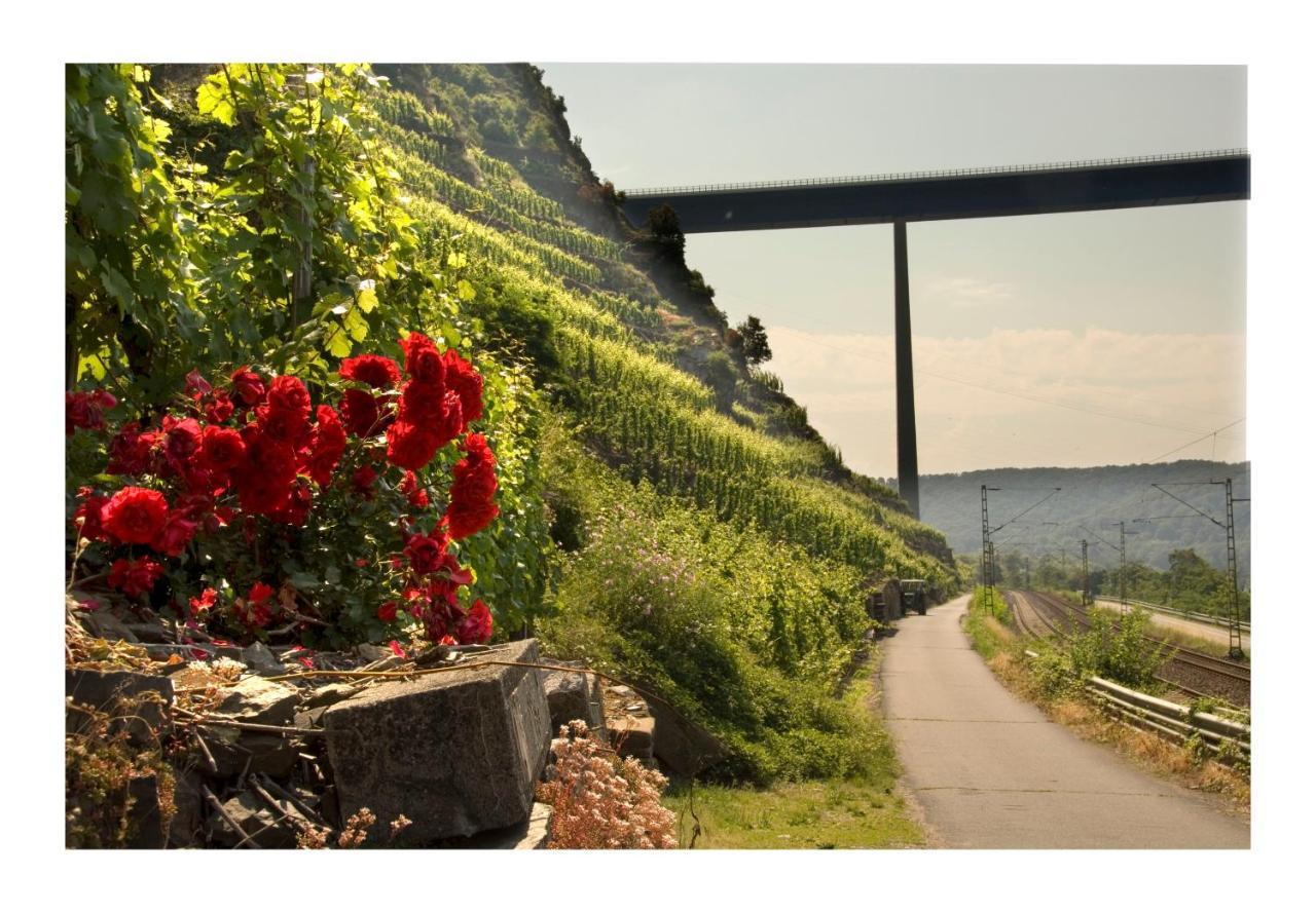 Alkener Elfenhaus Mit Kostenlosen Gaeste Ticket Eksteriør bilde